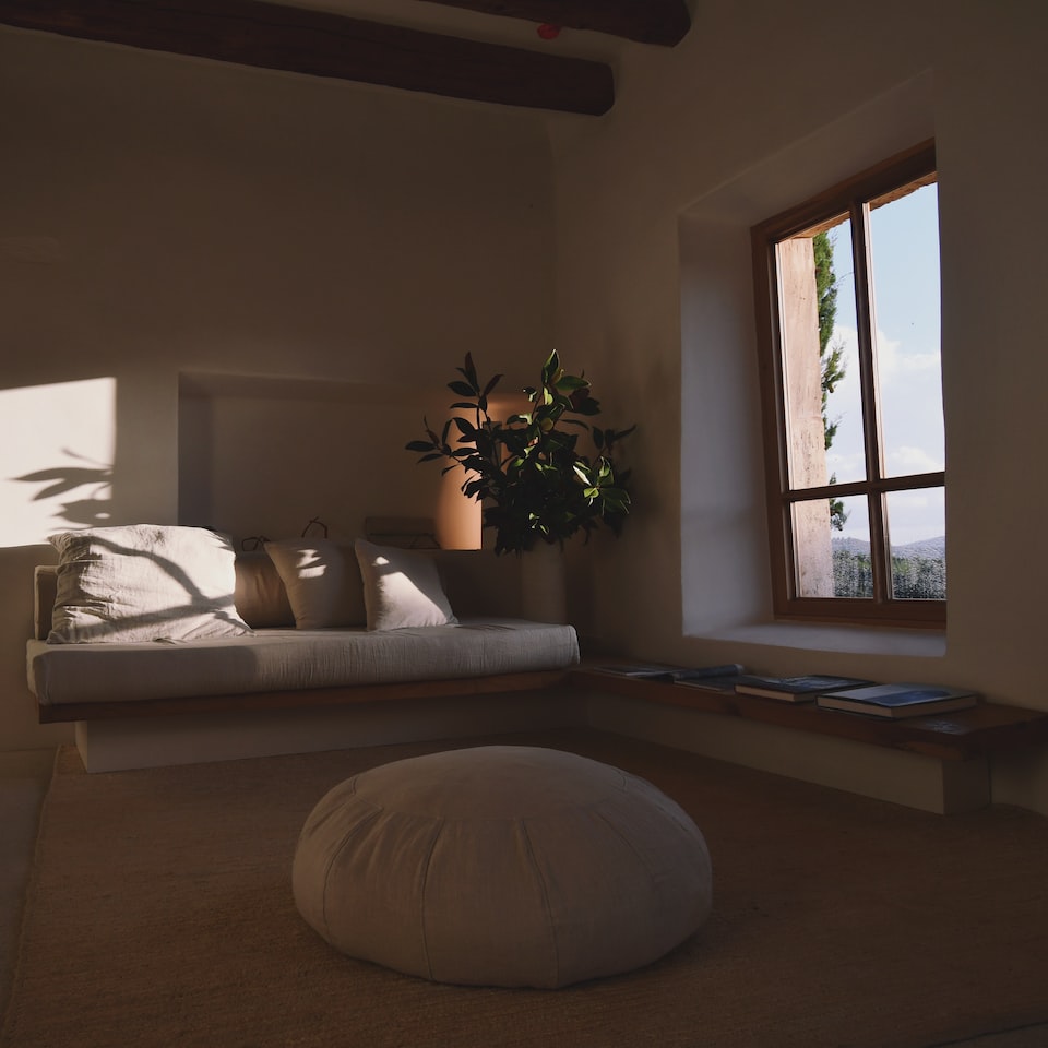 Cushion