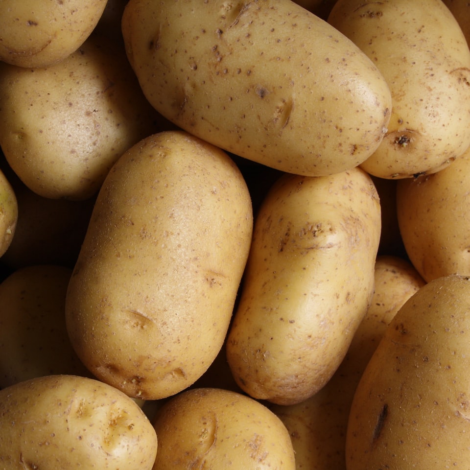 Potato Soy Internet