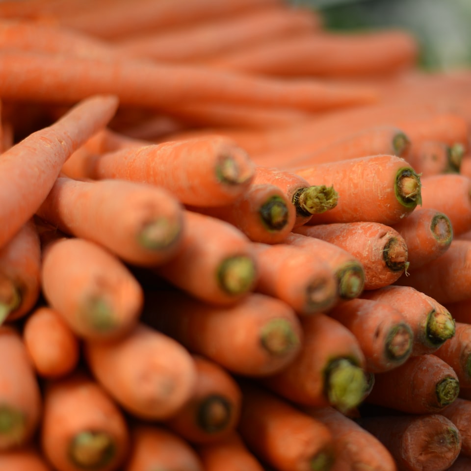 Carrot Blender Washer