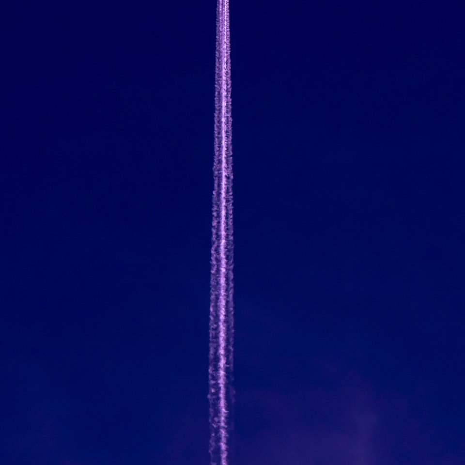 Blue Perl