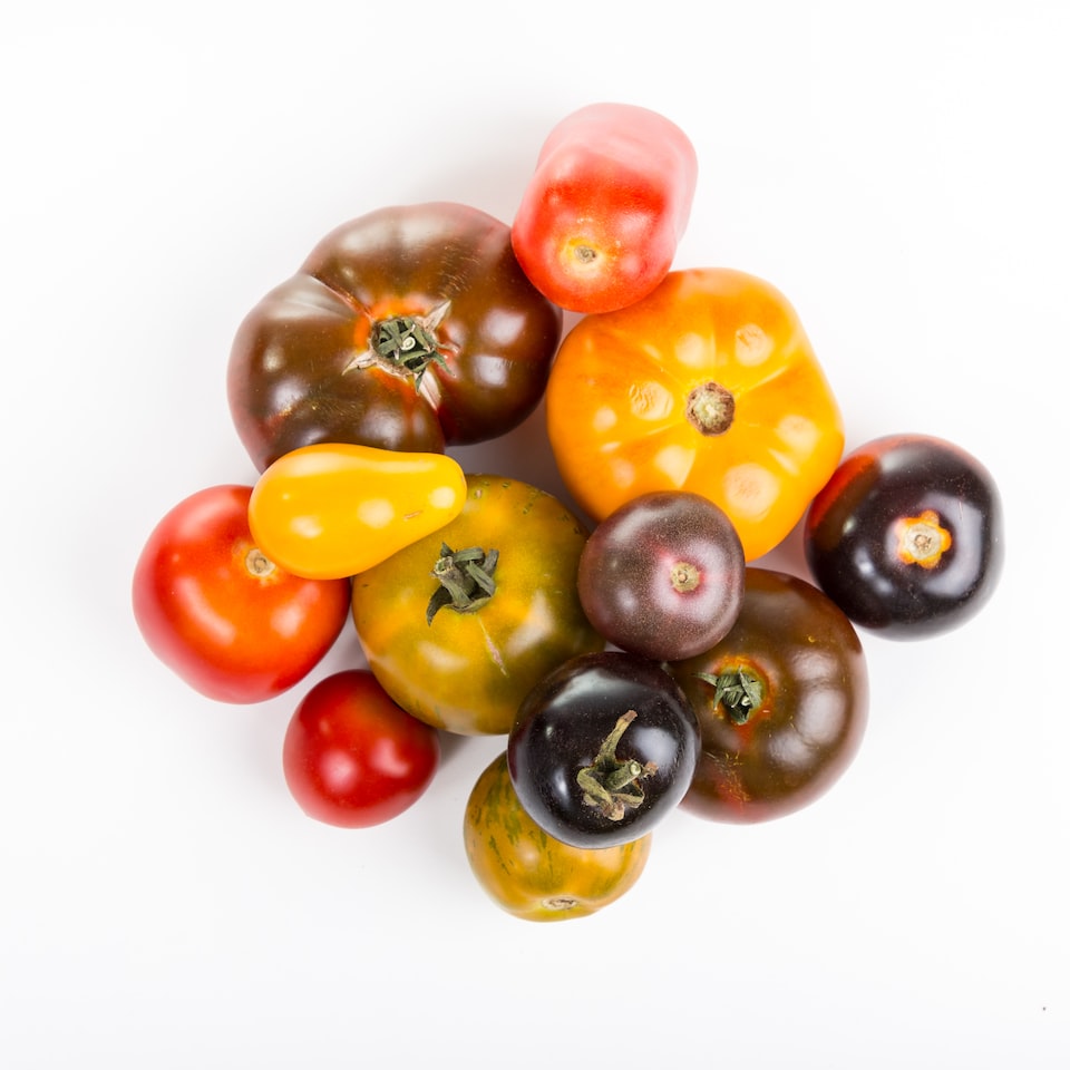 Shower Tomato