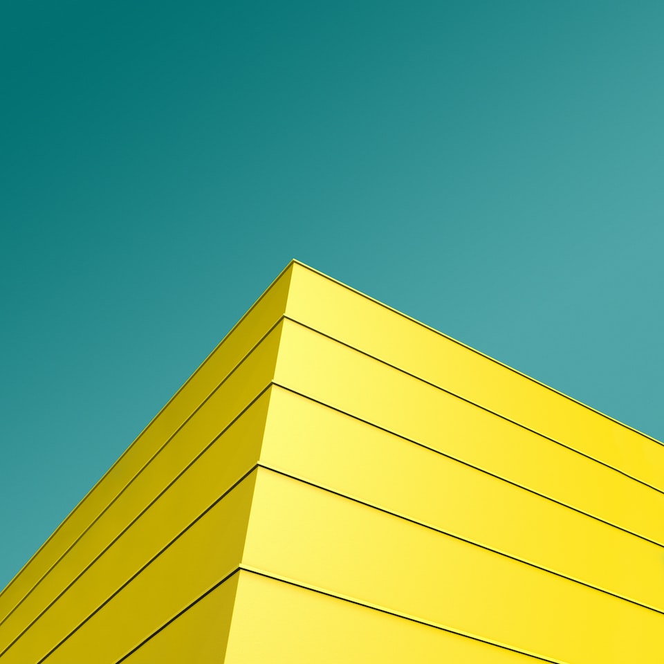 Yellow Chicken