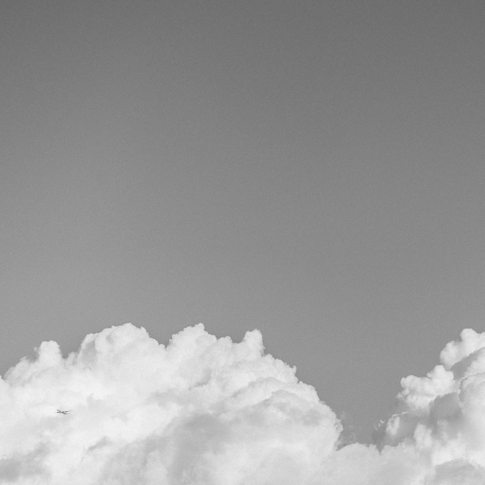 Card Apple Grey Download