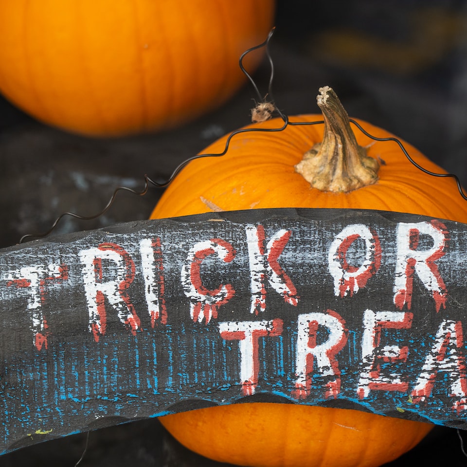 Pumpkin Download