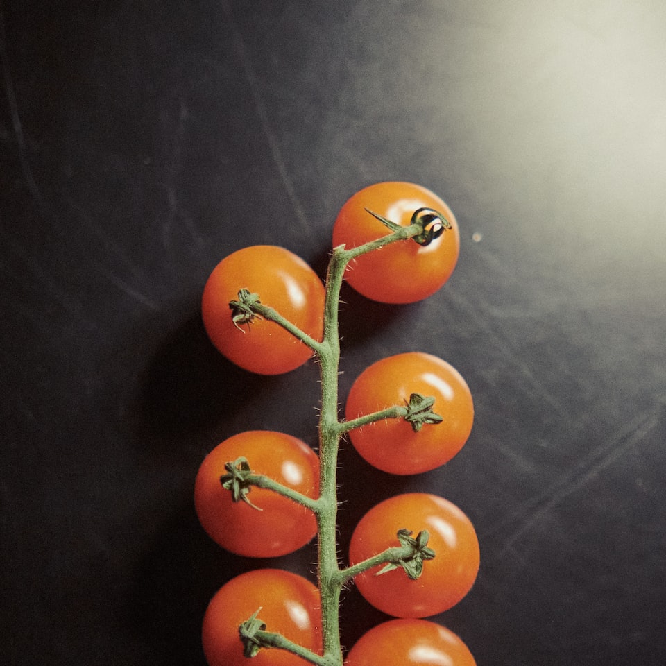 Download Tomato