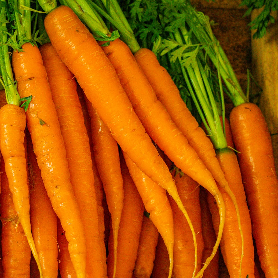 Carrot HDMI