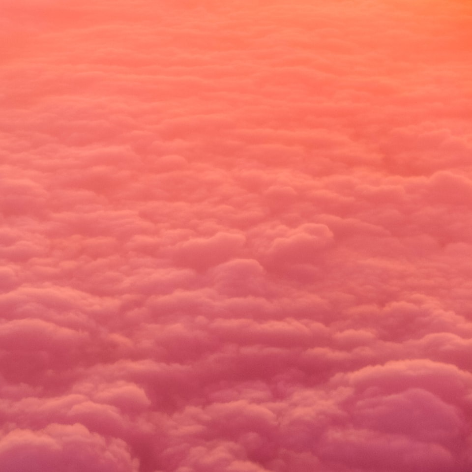 Pink Lavender Yellow
