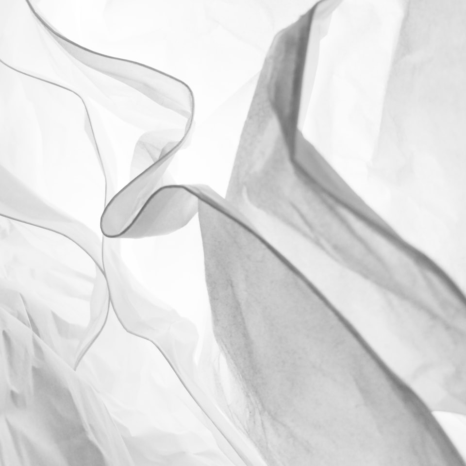 White Cola Trouser