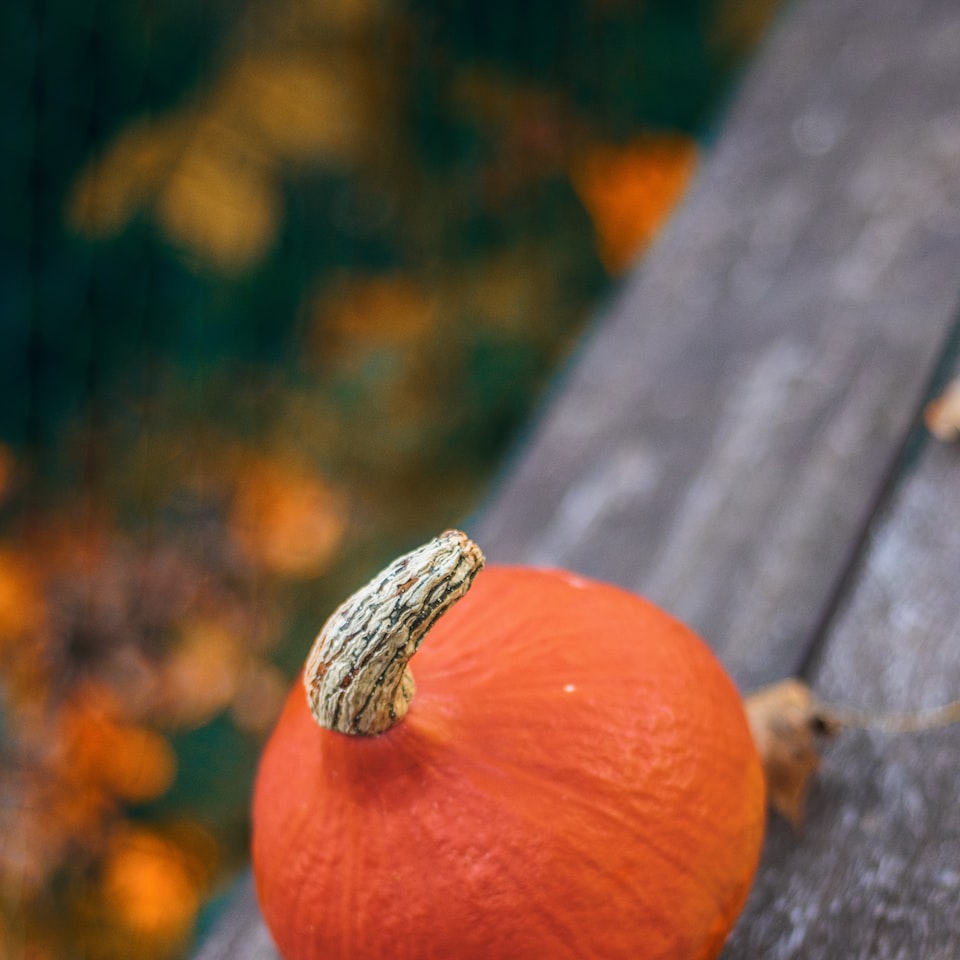 Moustache Washer Pumpkin