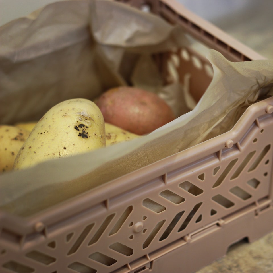 Potato Album