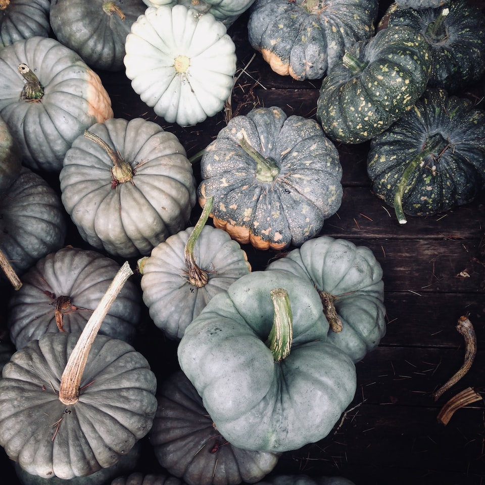 Internet Pumpkin