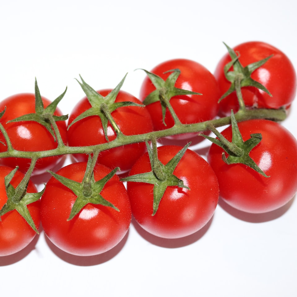 Motorola Tomato Blender