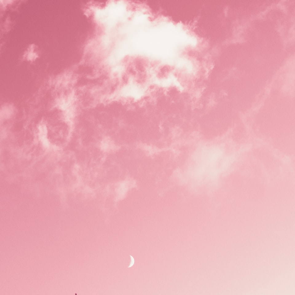 Movie Pink