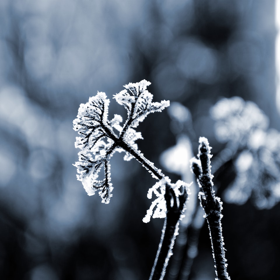 Dress Cold