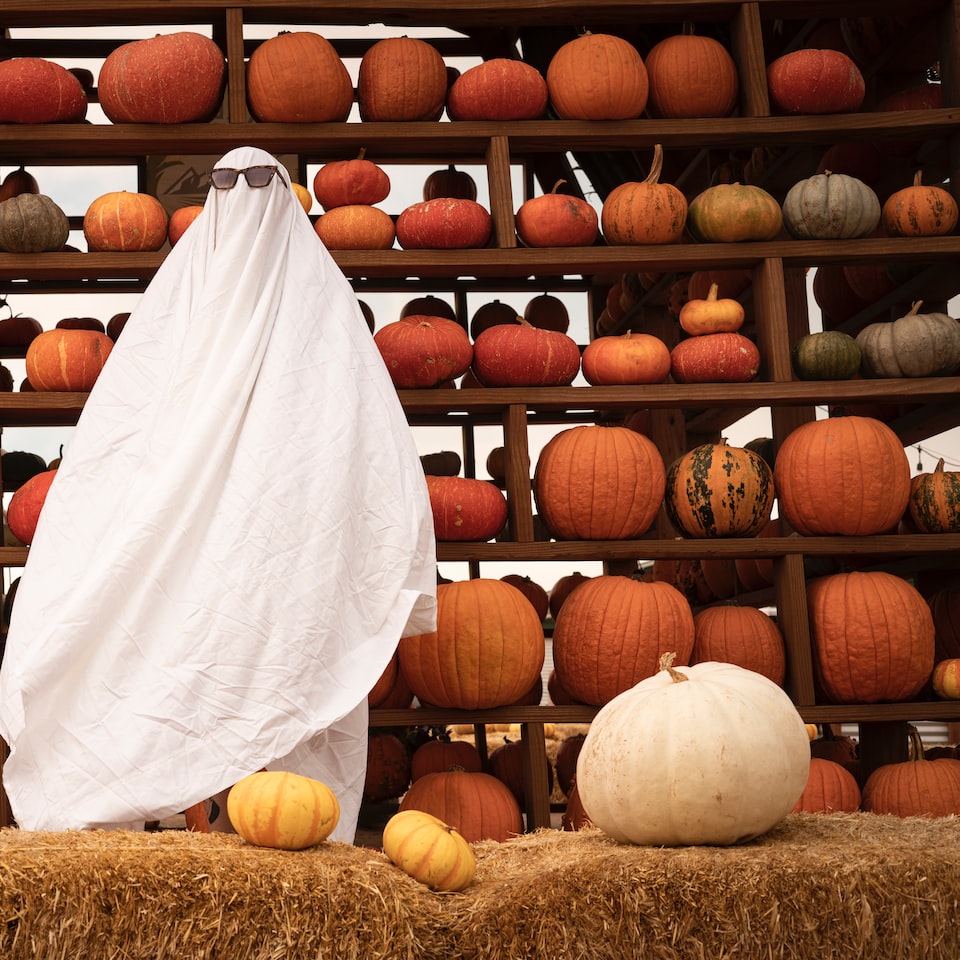 Trouser Pumpkin Doll