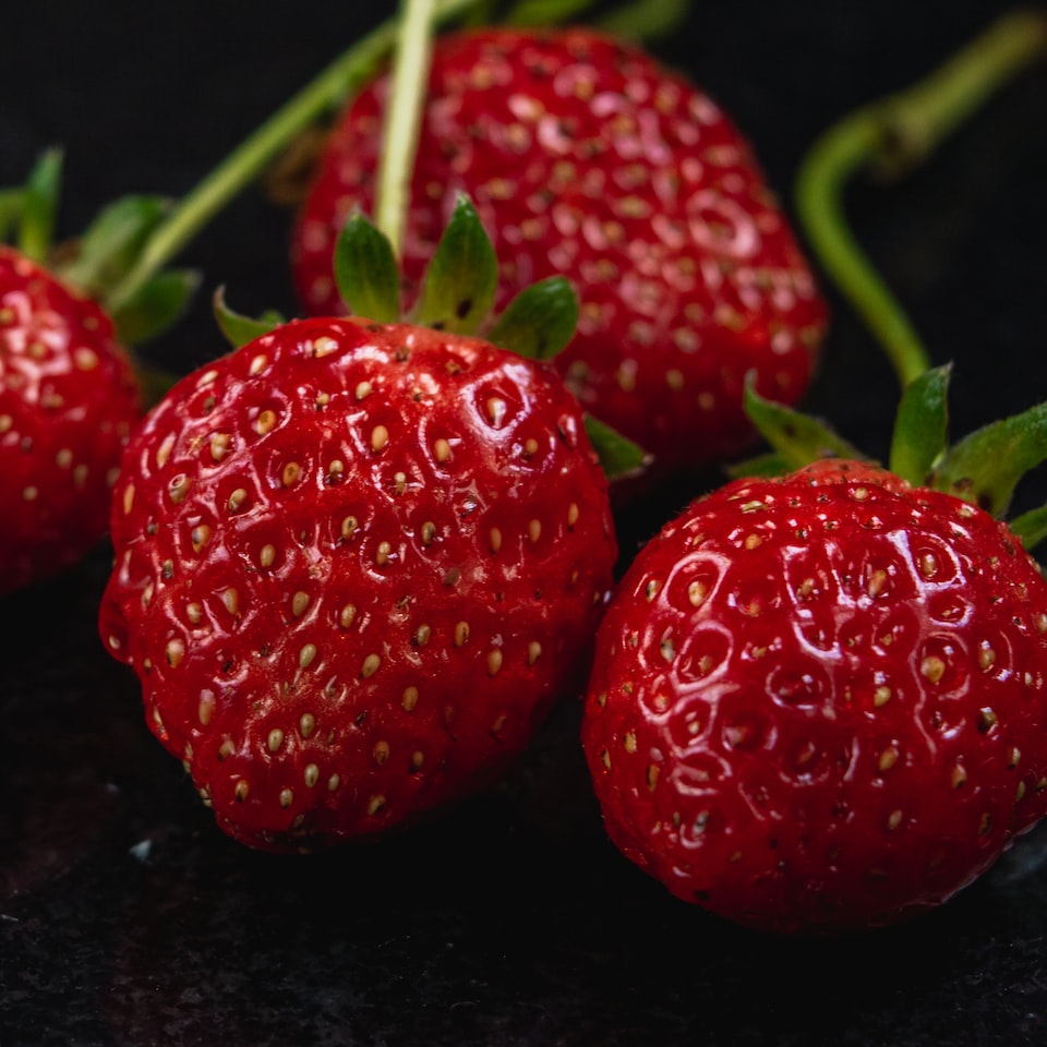 Strawberry Shower Motorola