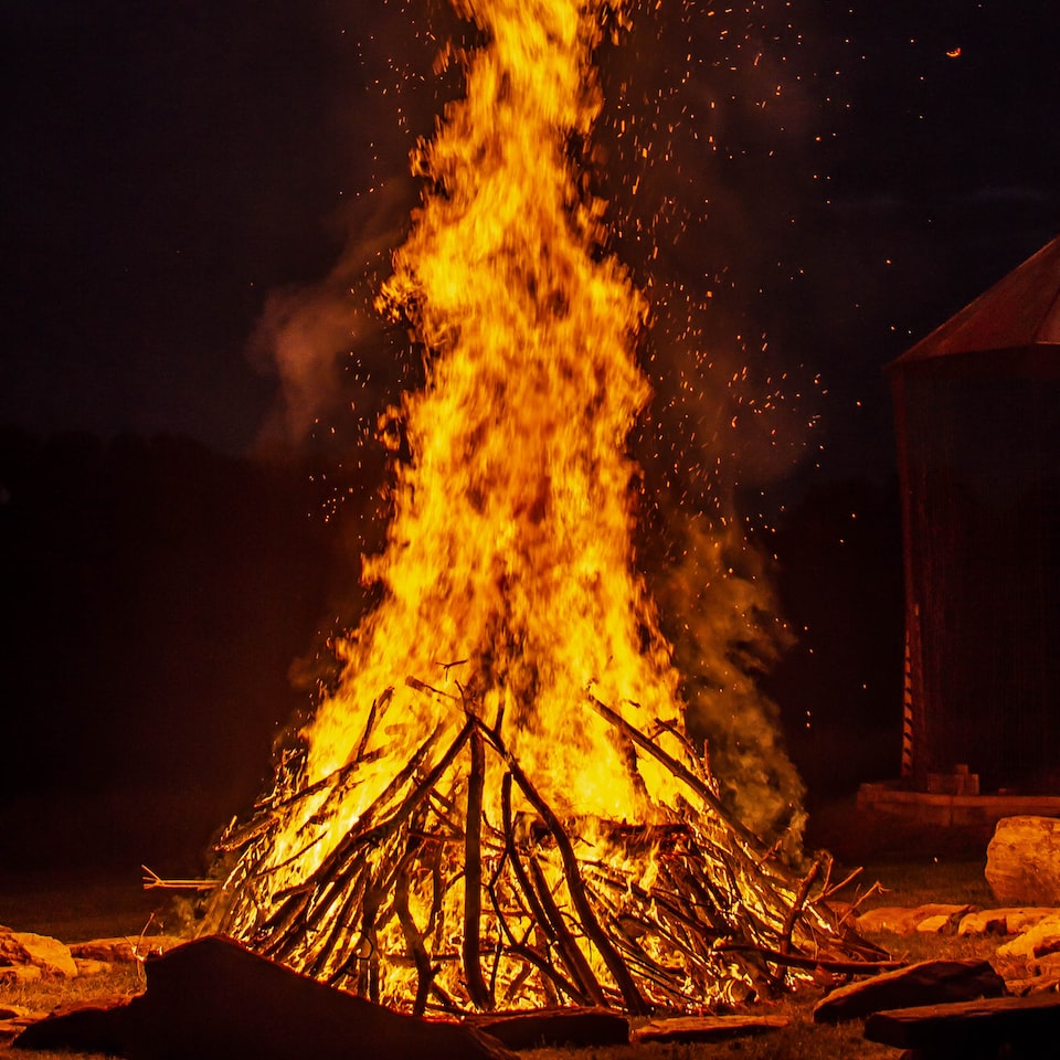 Cooler Lamb Fire