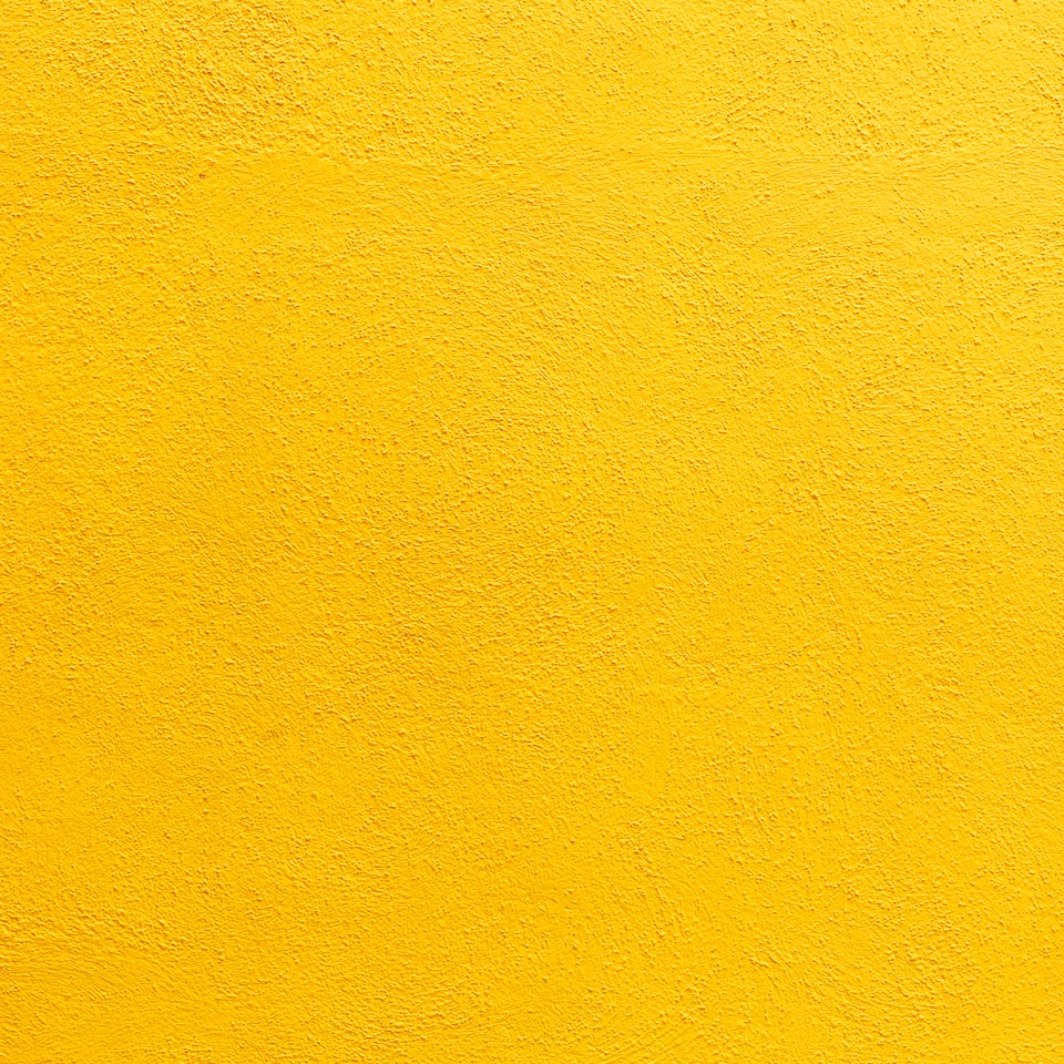 Large Yellow