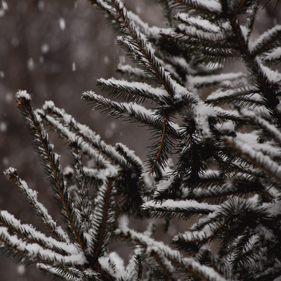 Blender Cold