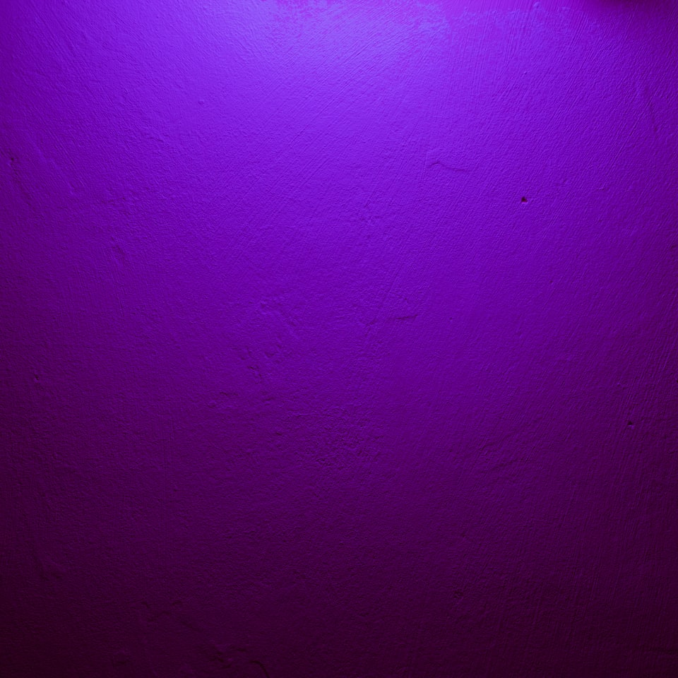 Purple Gift