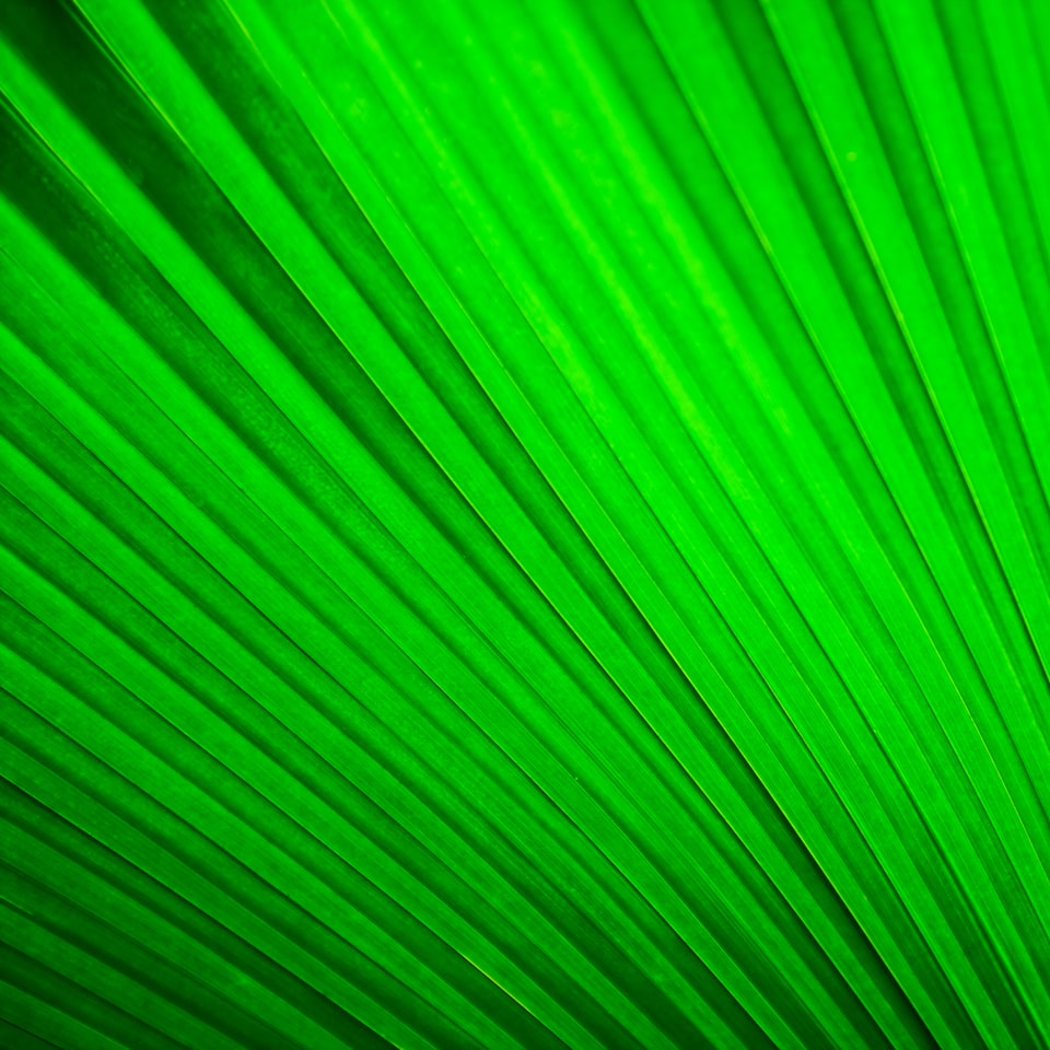 Juice Banana Samsung Green