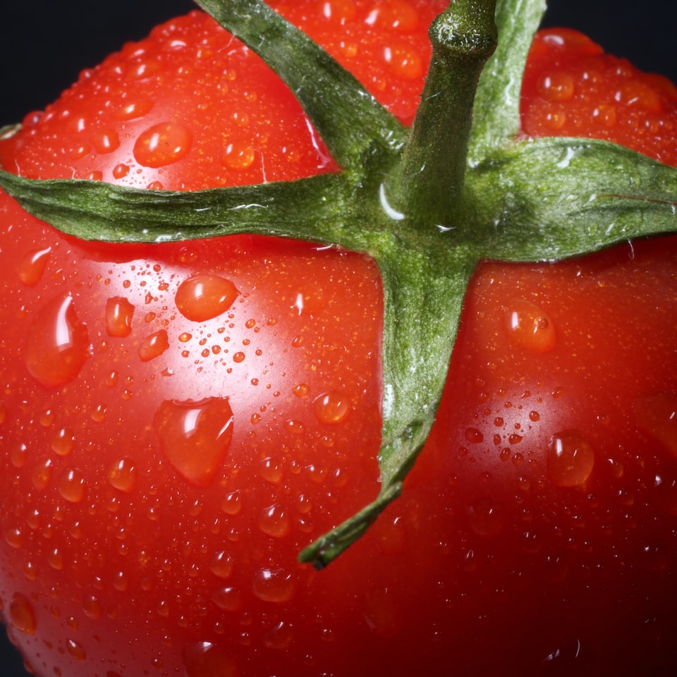 Washer Tomato