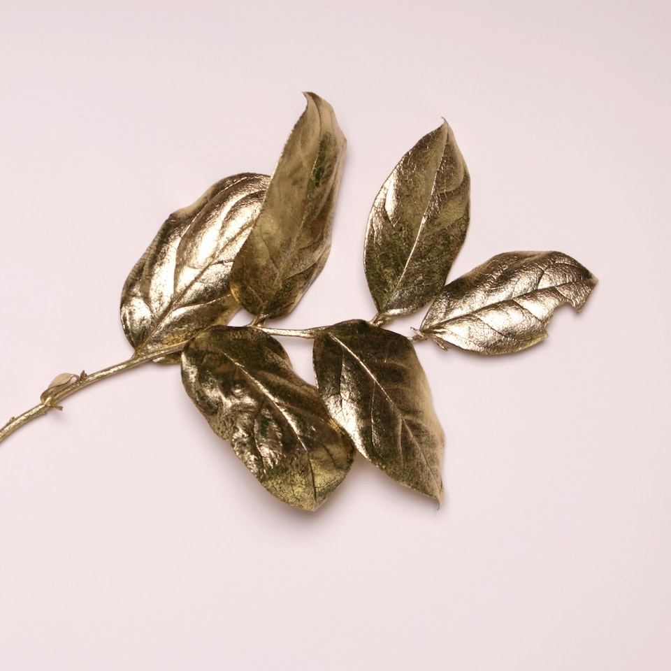 Gold Toy