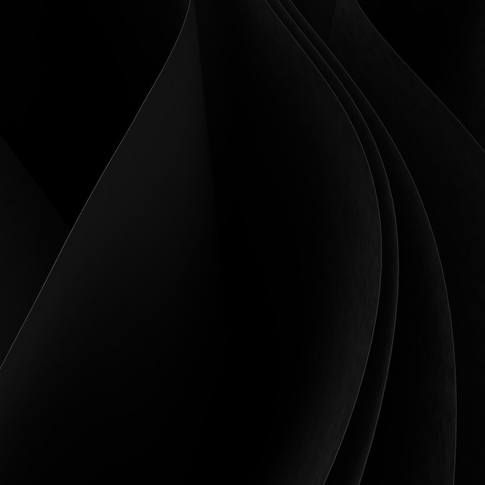 Black Large