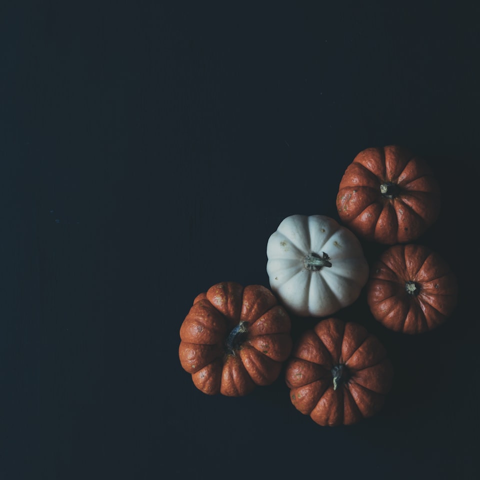 Internet Pumpkin Album
