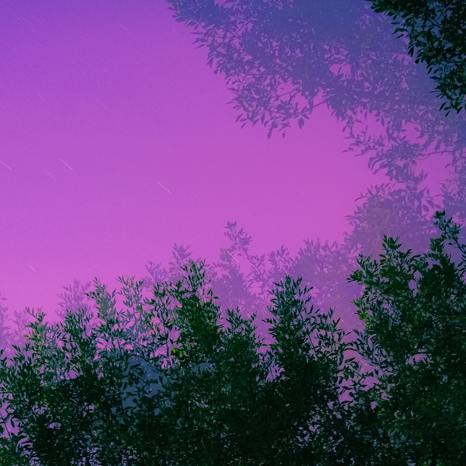 CD Purple Mixer