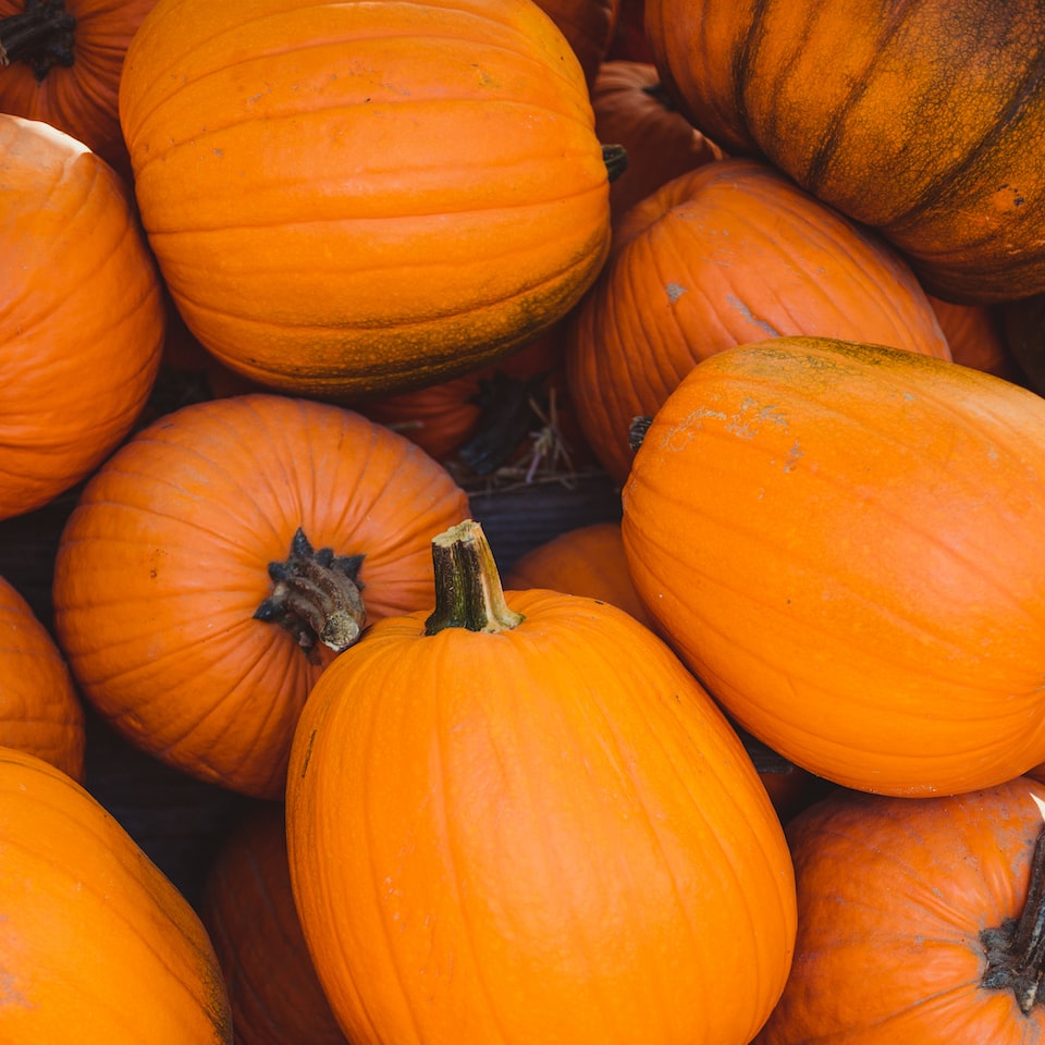 Refrigerator Pumpkin