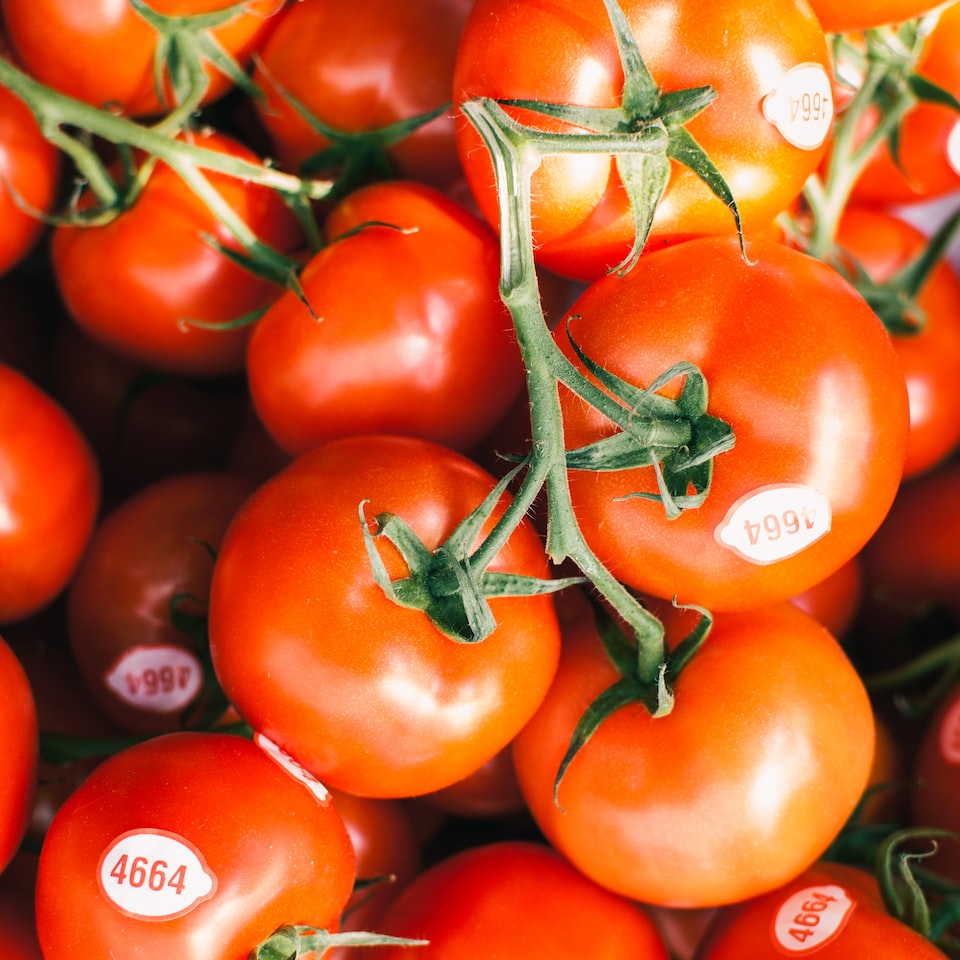 ACME Tomato