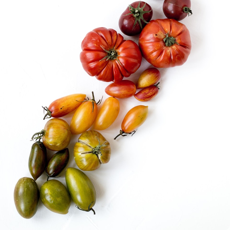 Tomato Wet