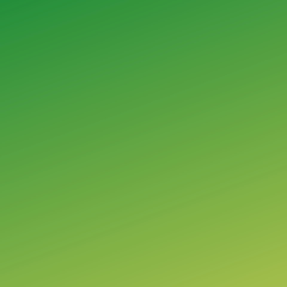 Pumpkin Green Banana Lime Internet