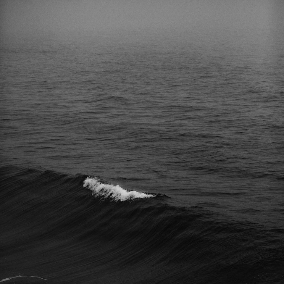 Sheet Banana Water