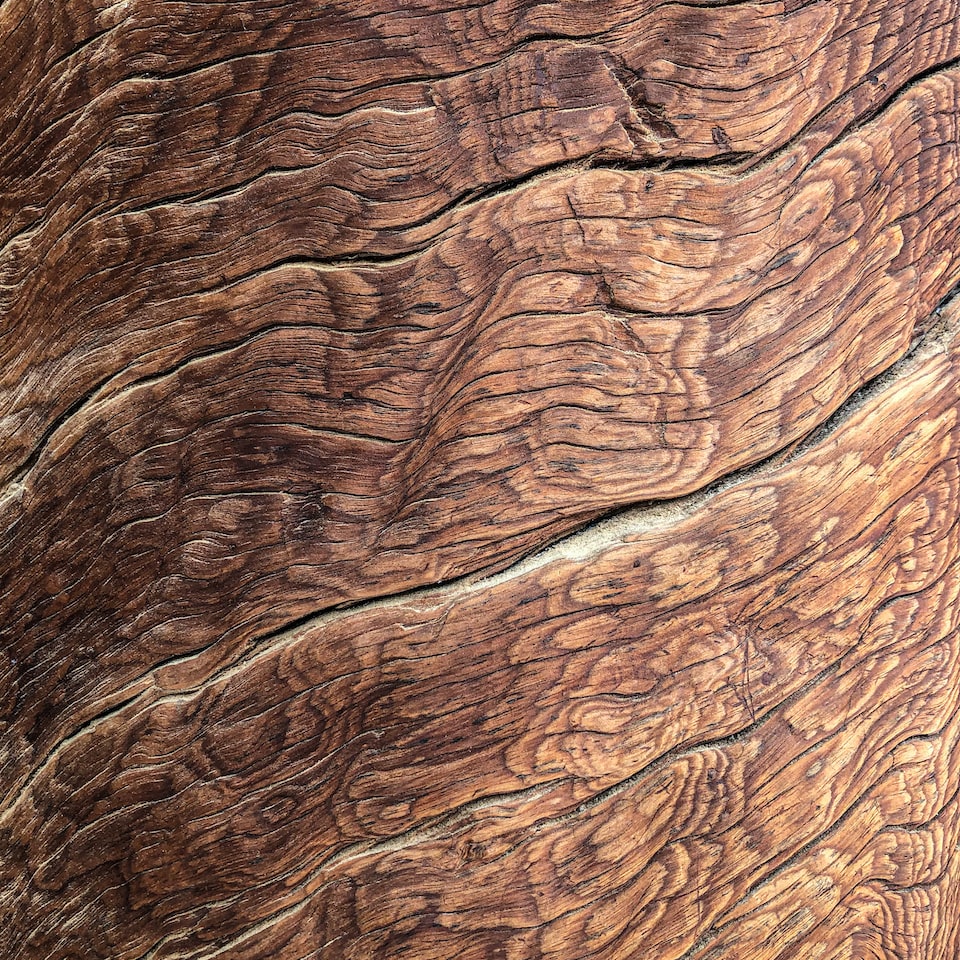 Wood Bikini Kit