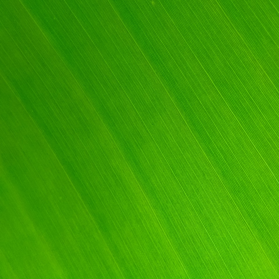 Bike Internet Green