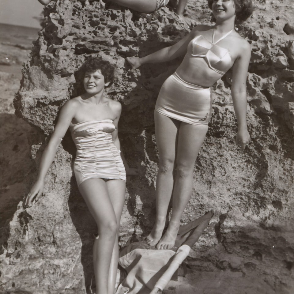 Bikini Rooster