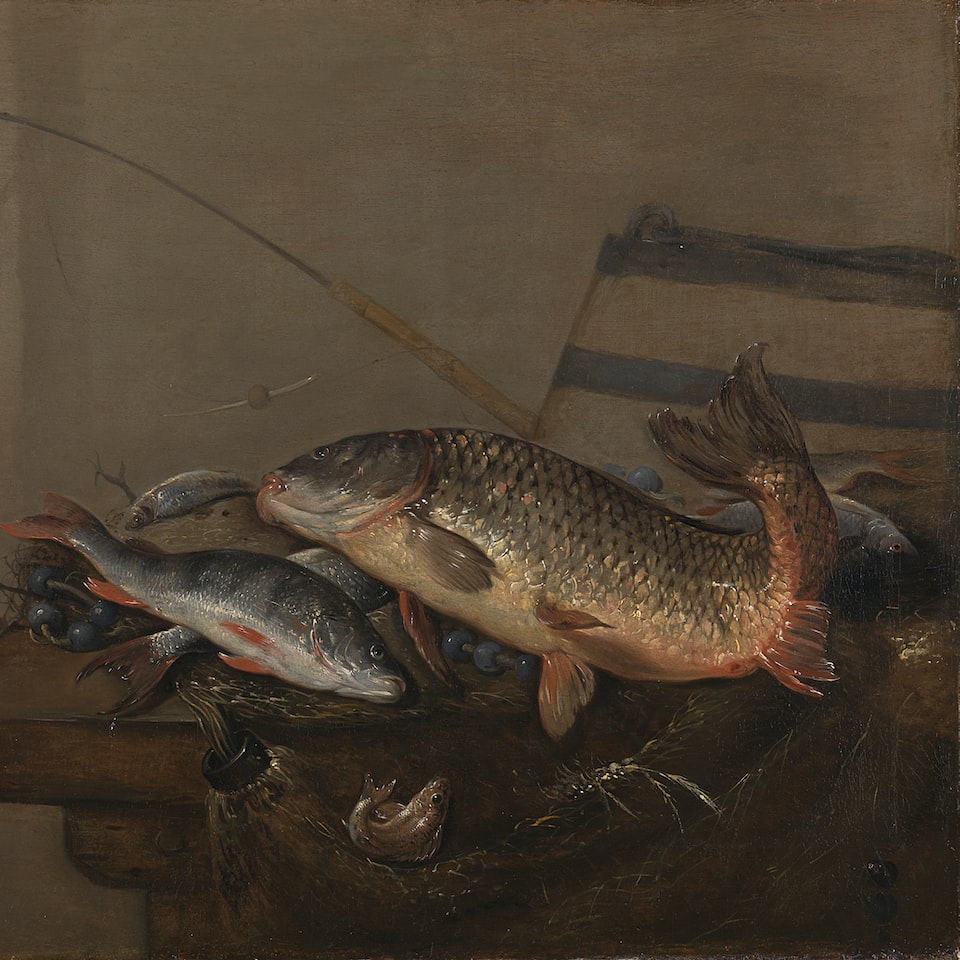 Gel Fish