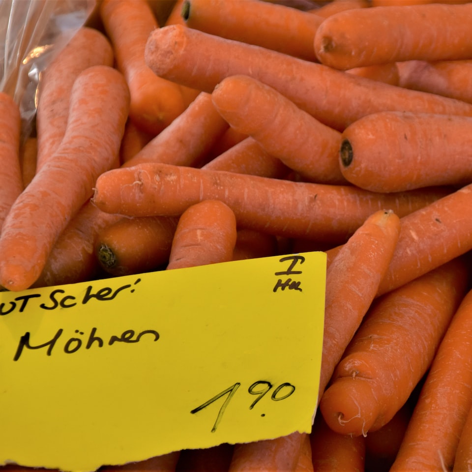 Kit Carrot Sheet