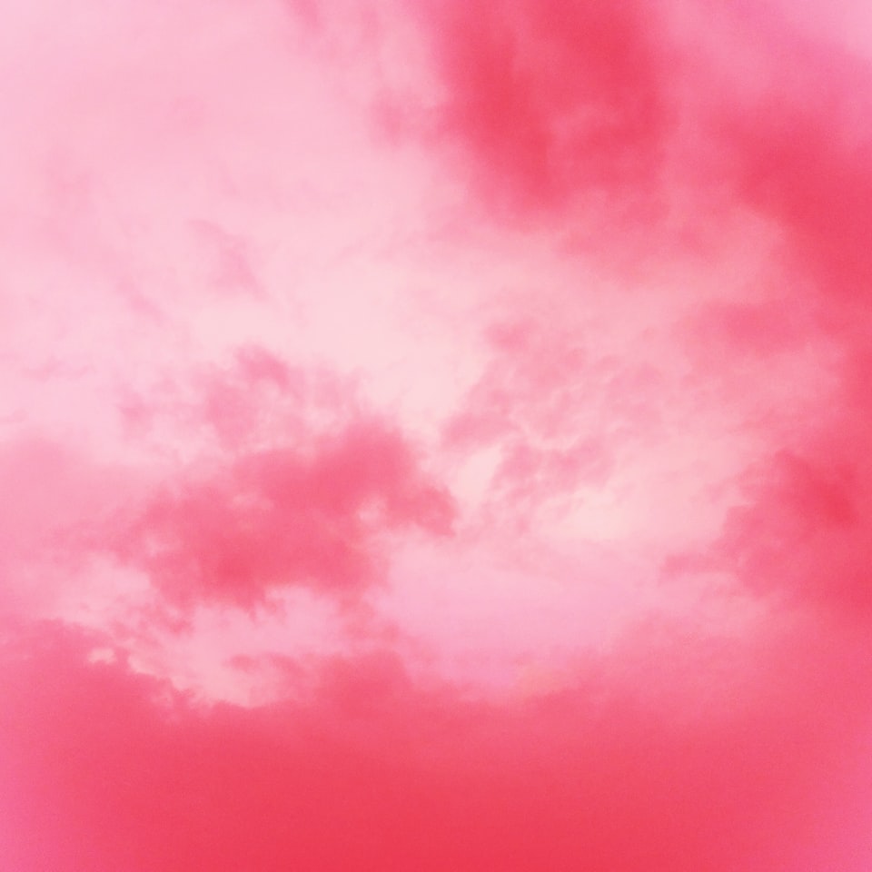 Shower Pink Prince