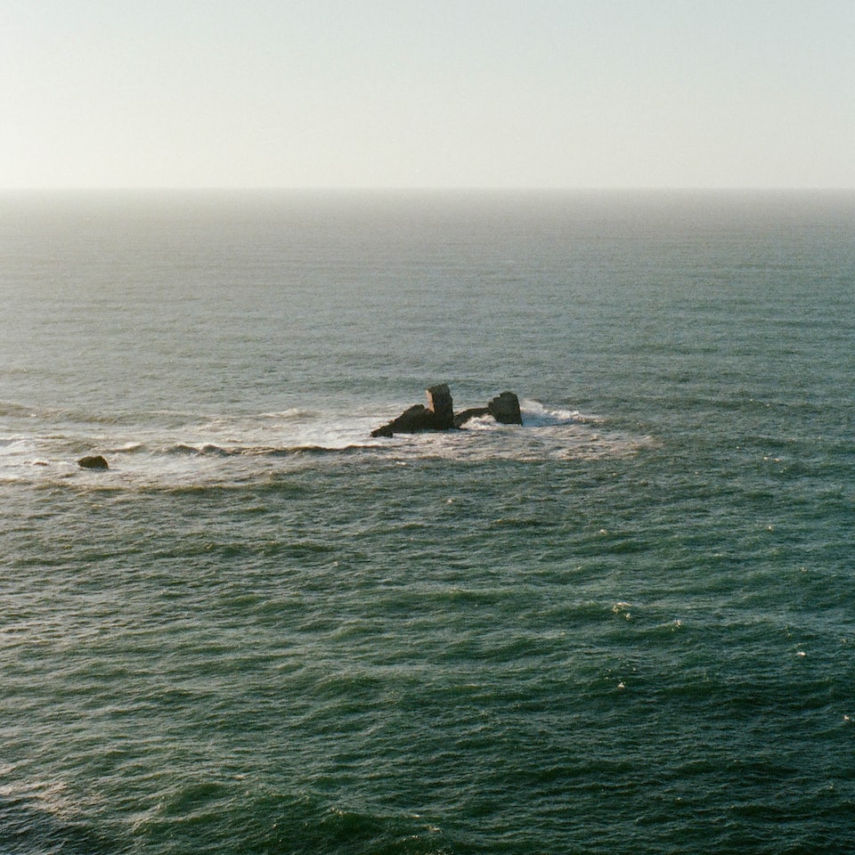 Film Wood Wet